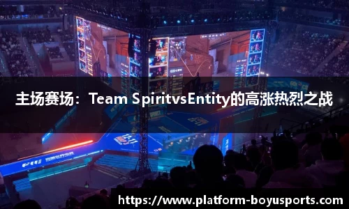 主场赛场：Team SpiritvsEntity的高涨热烈之战