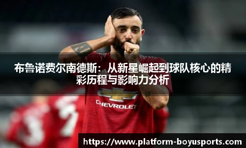 博鱼boyu体育官方网站